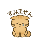 もふもふねこスタンプ（個別スタンプ：12）