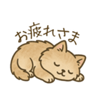 もふもふねこスタンプ（個別スタンプ：15）
