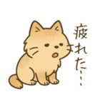 もふもふねこスタンプ（個別スタンプ：16）