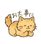 もふもふねこスタンプ（個別スタンプ：17）