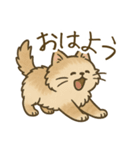 もふもふねこスタンプ（個別スタンプ：18）