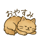 もふもふねこスタンプ（個別スタンプ：19）