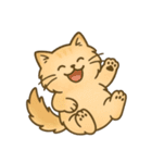 もふもふねこスタンプ（個別スタンプ：24）