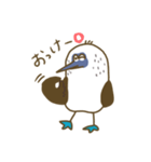 アオアシカツオドリーさん（個別スタンプ：2）
