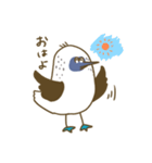 アオアシカツオドリーさん（個別スタンプ：6）