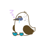アオアシカツオドリーさん（個別スタンプ：8）