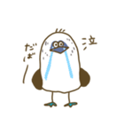 アオアシカツオドリーさん（個別スタンプ：10）