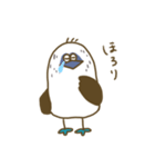 アオアシカツオドリーさん（個別スタンプ：11）