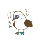 アオアシカツオドリーさん（個別スタンプ：13）