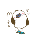 アオアシカツオドリーさん（個別スタンプ：33）