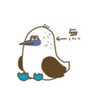 アオアシカツオドリーさん（個別スタンプ：35）
