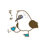 アオアシカツオドリーさん（個別スタンプ：36）