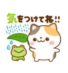 夏に役立つ♡ねこねこにゃんこ（個別スタンプ：8）