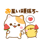 夏に役立つ♡ねこねこにゃんこ（個別スタンプ：9）