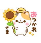 夏に役立つ♡ねこねこにゃんこ（個別スタンプ：12）