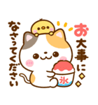 夏に役立つ♡ねこねこにゃんこ（個別スタンプ：20）