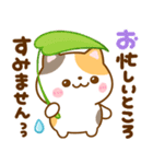 夏に役立つ♡ねこねこにゃんこ（個別スタンプ：24）
