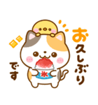 夏に役立つ♡ねこねこにゃんこ（個別スタンプ：26）