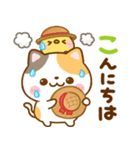 夏に役立つ♡ねこねこにゃんこ（個別スタンプ：29）