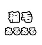 稲毛好きなあなたへ（個別スタンプ：21）