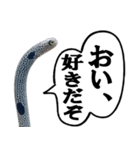 いざという時に使えるチンあなごスタンプ（個別スタンプ：1）