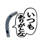 いざという時に使えるチンあなごスタンプ（個別スタンプ：2）