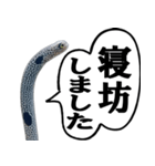 いざという時に使えるチンあなごスタンプ（個別スタンプ：7）