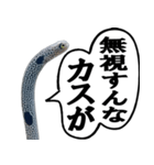 いざという時に使えるチンあなごスタンプ（個別スタンプ：13）