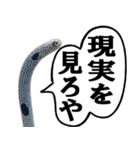 いざという時に使えるチンあなごスタンプ（個別スタンプ：17）