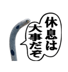 いざという時に使えるチンあなごスタンプ（個別スタンプ：19）