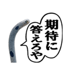 いざという時に使えるチンあなごスタンプ（個別スタンプ：20）