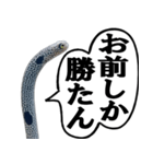 いざという時に使えるチンあなごスタンプ（個別スタンプ：23）