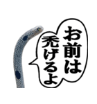 いざという時に使えるチンあなごスタンプ（個別スタンプ：24）