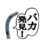 いざという時に使えるチンあなごスタンプ（個別スタンプ：25）