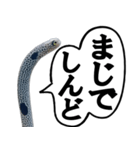 いざという時に使えるチンあなごスタンプ（個別スタンプ：30）