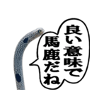 いざという時に使えるチンあなごスタンプ（個別スタンプ：33）