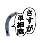 いざという時に使えるチンあなごスタンプ（個別スタンプ：37）