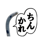 いざという時に使えるチンあなごスタンプ（個別スタンプ：39）