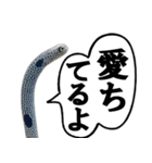 いざという時に使えるチンあなごスタンプ（個別スタンプ：40）