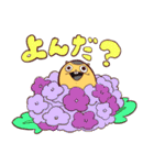 かんたんマーモット～夏～（個別スタンプ：17）