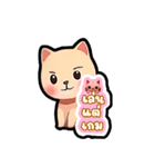 小さな猫が旅行します（個別スタンプ：6）