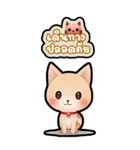 小さな猫が旅行します（個別スタンプ：33）