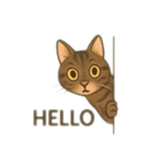 茶色猫、英語バージョン（個別スタンプ：1）