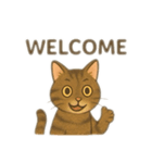 茶色猫、英語バージョン（個別スタンプ：5）