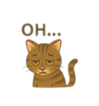 茶色猫、英語バージョン（個別スタンプ：9）