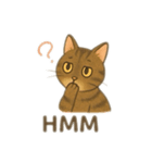 茶色猫、英語バージョン（個別スタンプ：11）