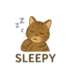茶色猫、英語バージョン（個別スタンプ：14）