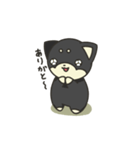 シバかりの日常スタンプ(黒柴ver.)（個別スタンプ：6）