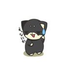 シバかりの日常スタンプ(黒柴ver.)（個別スタンプ：12）
