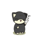 シバかりの日常スタンプ(黒柴ver.)（個別スタンプ：19）